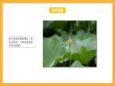 苏教版六年级数学上册 第一单元 第三课时《长方体和正方体的展开图》课件+教案+学习任务单+分层作业