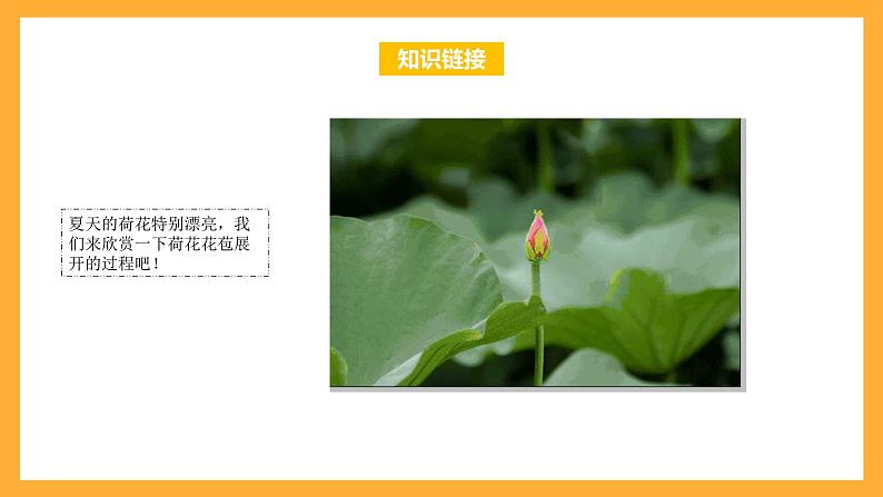 苏教版六年级数学上册 第一单元 第三课时《长方体和正方体的展开图》课件+教案+学习任务单+分层作业04