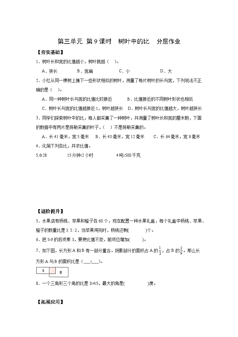 苏教版六年级数学上册 第三单元 第9课时 《树叶中的比》分层作业第1页