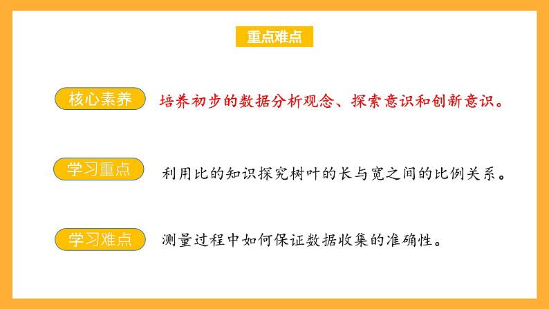 苏教版六年级数学上册 第三单元 第9课时 《树叶中的比》 课件第3页