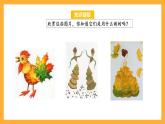 苏教版六年级数学上册 第三单元 第九课时 《树叶中的比》课件+教案+学习任务单+分层作业