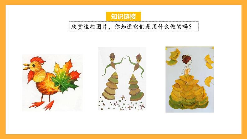 苏教版六年级数学上册 第三单元 第9课时 《树叶中的比》 课件第5页