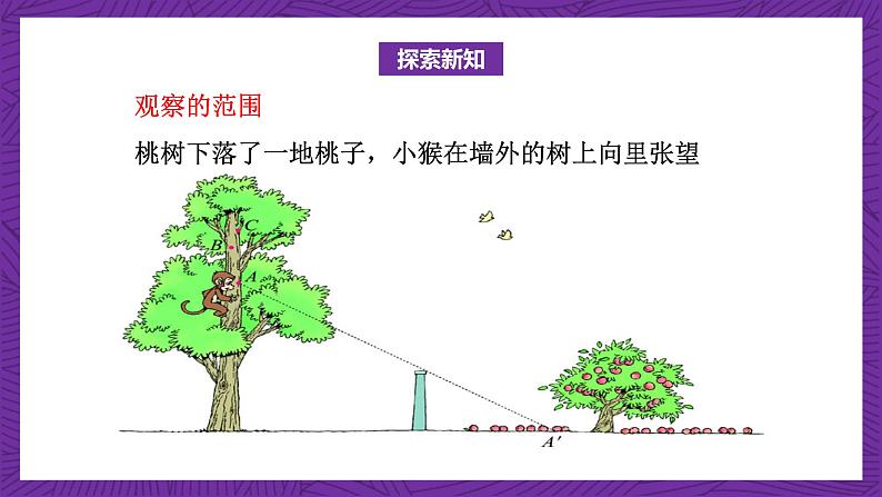 北师大版六年级数学上册 3.2《观察的范围》课件+练习07