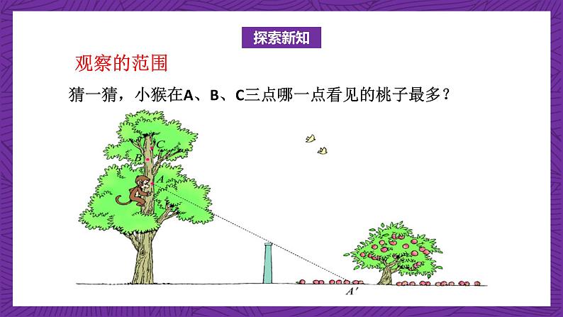 北师大版六年级数学上册 3.2《观察的范围》课件+练习08