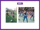 北师大版六年级数学上册 6.4 数学好玩《反弹高度》课件+练习