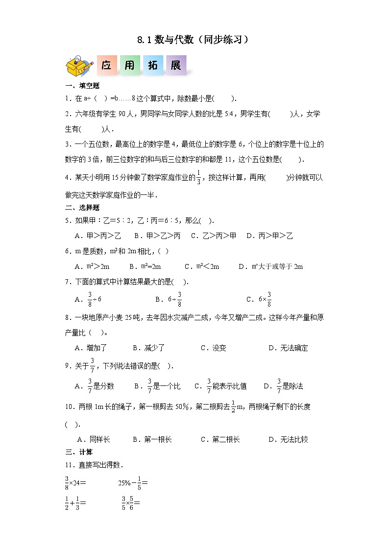 北师大版六年级数学上册 8.1《数与代数》练习01