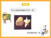 蘇教版四年級(jí)數(shù)學(xué)上冊(cè) 第三單元 第一課時(shí)《從前面、右面和上面觀察物體》課件+教案+分層作業(yè)
