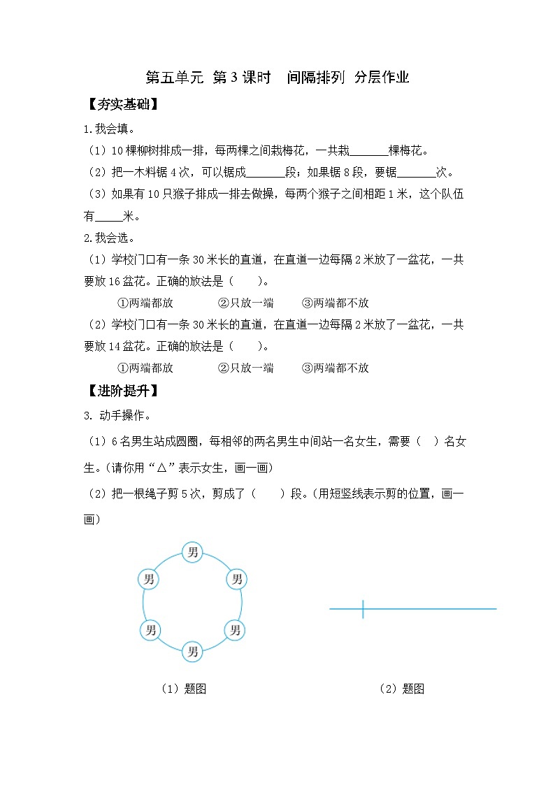 苏教版三年级数学上册 第五单元第三课时《间隔排列》课件+教案+学习任务单+分层作业01