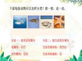 北师2024版数学一年级上册  总复习 第3课时 统计与概率 PPT课件