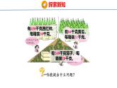 青岛版数学四上 5.2 《数是两位数的笔算（试商）》课件