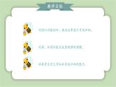 人教版小学数学一年级上册第六章复习与关联《数与运算》课件