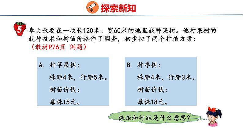 冀教版小学数学五上 7.4 种植问题（ 课件）04