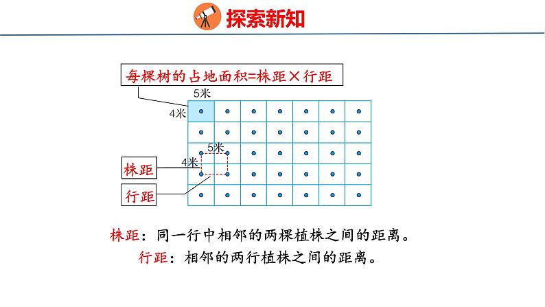 冀教版小学数学五上 7.4 种植问题（ 课件）05