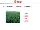 冀教版小學(xué)數(shù)學(xué)五上 第七單元估計(jì)玉米收入（ 課件）