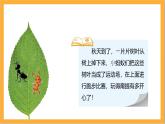 北师大版数学三上5.1《什么是周长》课件+教案