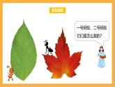 北师大版数学三上5.1《什么是周长》课件+教案