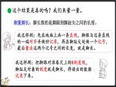 数学好玩（2） 寻找身体上的数学“秘密”（课件）-2024-2025学年二年级上册数学北师大版