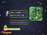 【同步课件】2024秋北京版小学数学五年级上册五年级上数学(北京版)列方程解决问题课件