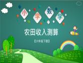 小學(xué)數(shù)學(xué)西師版六年級下冊農(nóng)田收入測算課件