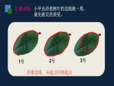 無錫蘇教版三年級數(shù)學(xué)上冊第三單元《認(rèn)識周長》課件