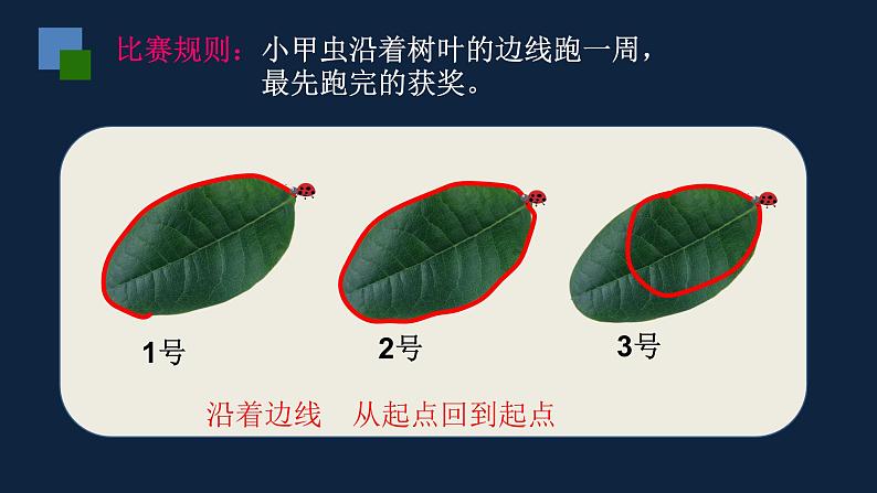 无锡苏教版三年级数学上册第三单元《认识周长》课件第2页