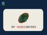 無錫蘇教版三年級數(shù)學(xué)上冊第三單元《認(rèn)識周長》課件