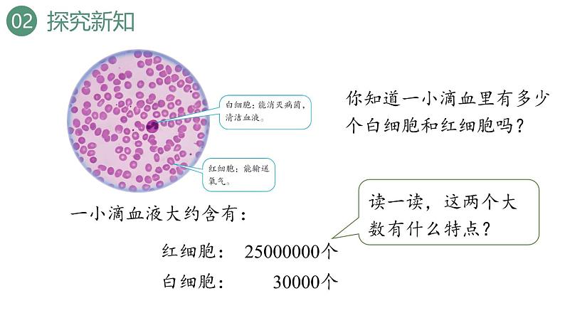 新人教版数学四年级上册1.6 亿以内数的改写课件06