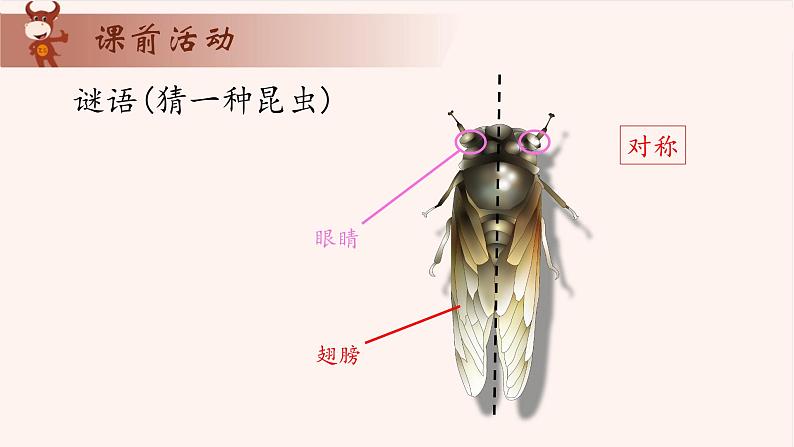 13、图形的剪拼-2024-2025学年度小学一年级奥数 全套教学课件PPT  陕西人民教育出版社03