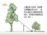 北師大版六年級(jí)數(shù)學(xué)上冊(cè)第3單元第2課時(shí)觀察范圍課件