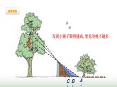 北師大版六年級(jí)數(shù)學(xué)上冊(cè)第3單元第2課時(shí)觀察范圍課件