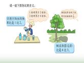 北师大版六年级数学上册第6单元第1课时生活中的比课件