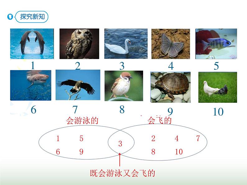 人教版三年级数学上册第九单元第一课时认识集合课时课件第2页