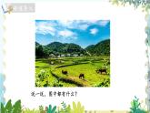 北师版（2024）数学一年级上册 第1单元 1.1.1 生活中的数 走进美丽乡村 第1课时 PPT课件