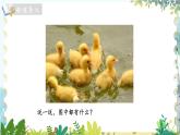 北师版（2024）数学一年级上册 第1单元 1.1.1 生活中的数 走进美丽乡村 第1课时 PPT课件