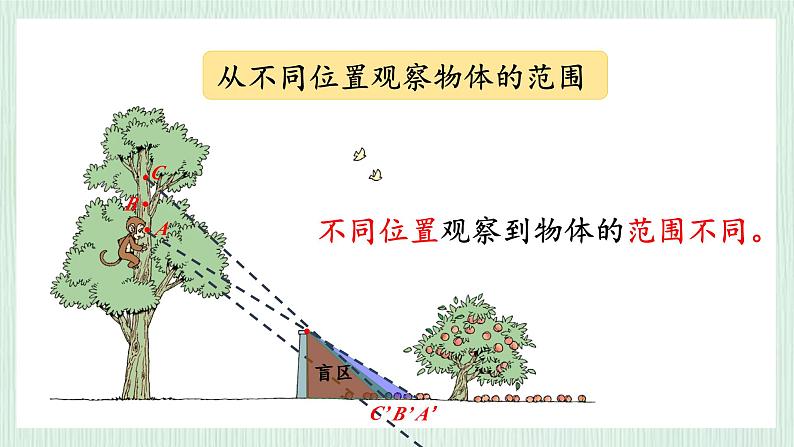 北师大版六年级数学上册总复习（5）观察物体 课件07