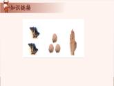 10、位值原理-2024-2025学年度小学四年级奥数 全套教学课件PPT  陕西人民教育出版社