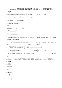 山东省淄博市高青县2023-2024学年五年级上学期期末数学试卷