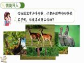 2024年冀教版新教材一年级数学上册1.1.1 1-9的初步认识课件
