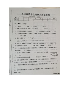 山东省聊城市东阿县2023-2024学年五年级上学期期末学情调研数学试卷