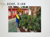 西师大版三年级上册数学七单元《认识周长》PPT课件