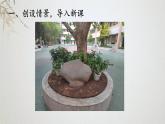西师大版三年级上册数学七单元《认识周长》PPT课件