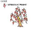 小学数学新西师版一年级上册总复习第1课时《 数与运算》教学课件（2024秋）