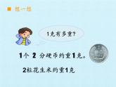 青岛版（六三制）数学三年级上册 一 动物趣闻——克、千克、吨的认识 复习(1)课件