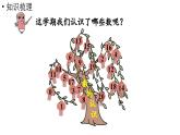 小学数学新人教版一年级上册第六单元复习与关联第1课时《20以内数的认识》教学课件（2024秋）