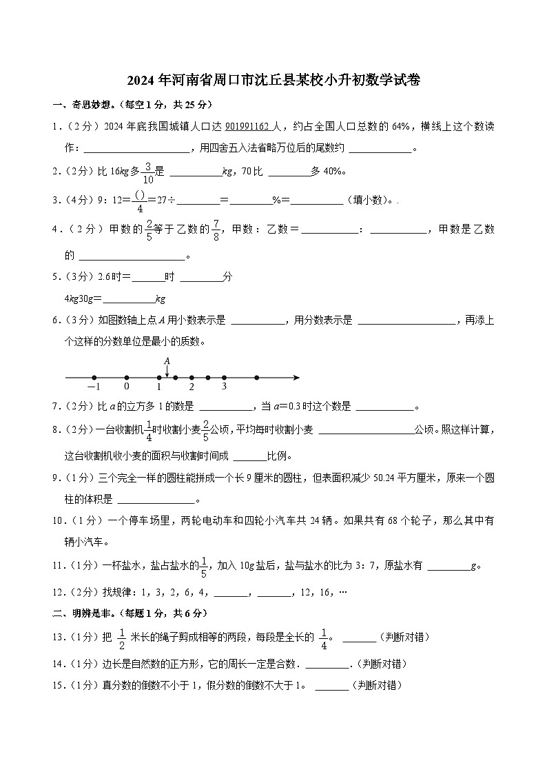 2024年河南省周口市沈丘县某校小升初数学试卷01