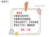 小学数学新北师大版一年级上册第二单元5以内数加与减第3课时《可爱的小猫》教学课件（2024秋）2