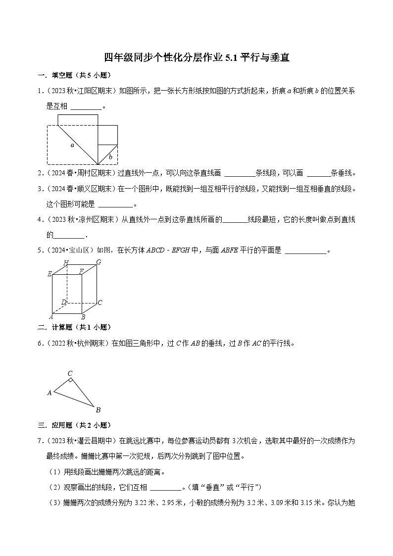 5.1平行与垂直（拔尖练习）2024-2025学年人教版数学四年级上册01