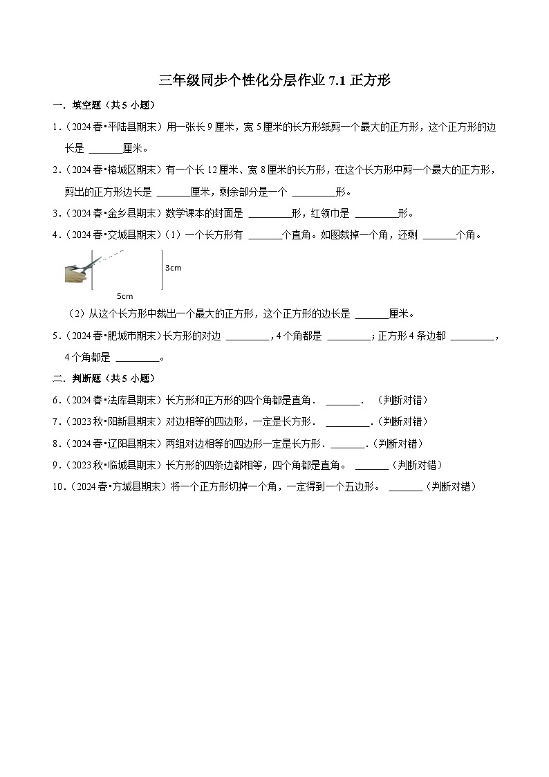 7.1正方形（拔尖练习）2024-2025学年人教版数学三年级上册第1页