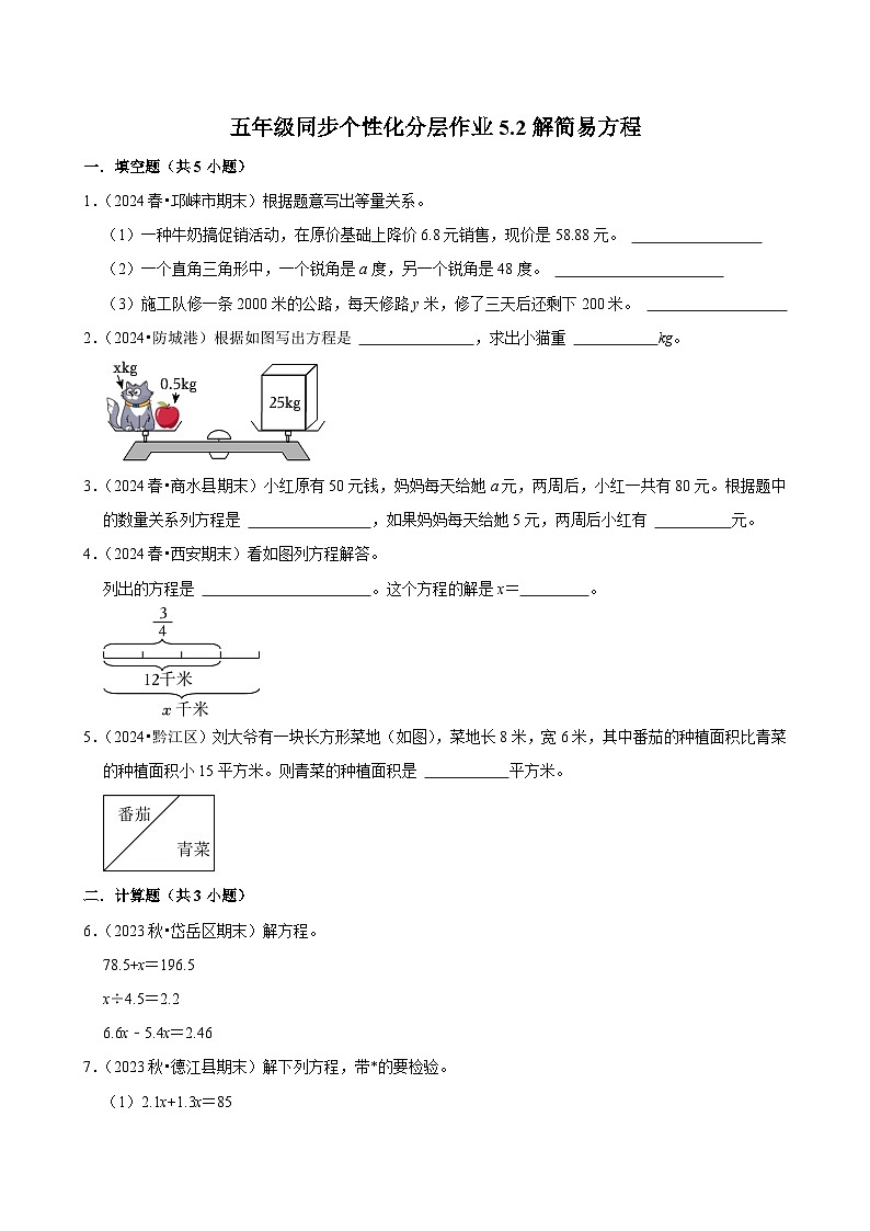 5.2解简易方程（拔尖作业）2024-2025学年五年级上册数学人教版（含解析）01