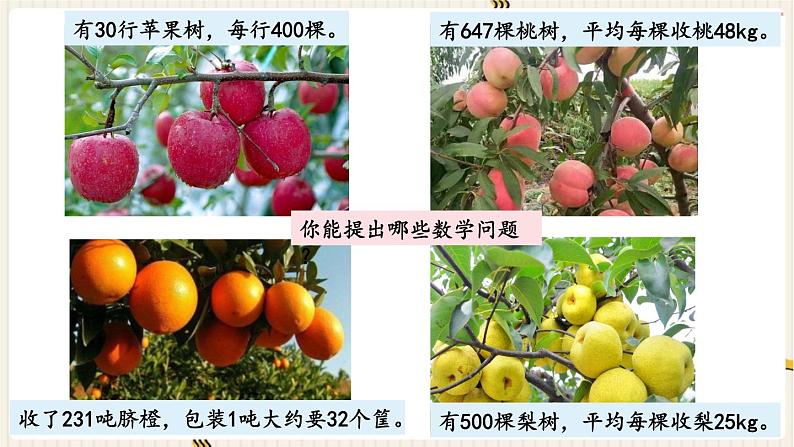 西师版四年级上册第四单元三位数乘两位数的口算和估算教案课件课堂实录03